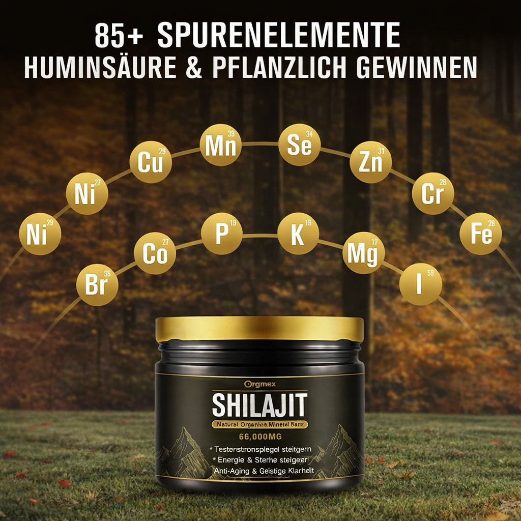 Ursprungs-Shilajit